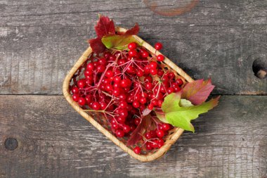 Rustik koyu arka plan, parlak doğal renkler üzerinde el yapımı küçük bir hasır sepet viburnum parlak ve sulu meyveleri.