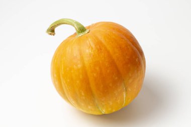 Tatil ana özelliği Halloween, metin için yer ile beyaz bir arka plan üzerinde kabak, parlak doğal renk, yüksek kontrast.