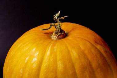 Siyah bir arka plan, yüksek kontrast, doğal renk, metin için yer, Cadılar Bayramı için dekor olgun bir kabak yakın çekim üst.