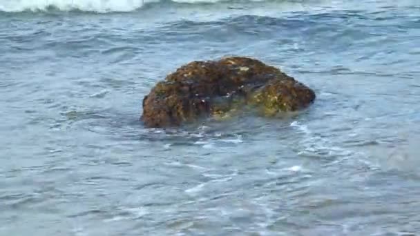 Las Olas Del Mar Fluyen Alrededor Una Pequeña Piedra Junto — Vídeos de Stock