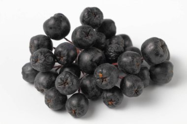 Beyaz arka planda bir demet tıbbi chokeberry, doğal renk, yakın çekim.