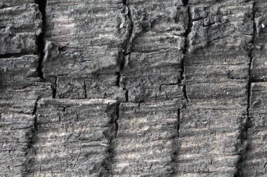 Eski tahtanın yüzeyi arka plan olarak yakın plan, gri tonlar, orijinal hacim dokusu.