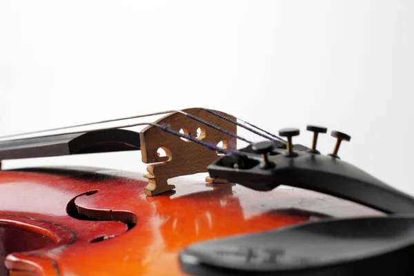 Upper Deck Violin Strings Bridge Fine Tuner Close White Background — Stock Photo, Image