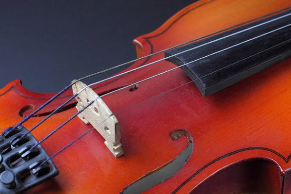 Dizeleri, siyah arkaplanı, klasik müzik konsepti veya müzik eğitimi olan üst düzey bir keman destesi..