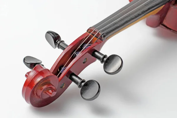 Fiddle Violon Sur Fond Blanc Close Concept Éducation Musicale Musique — Photo