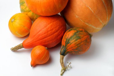 Beyaz arka planda farklı boyutlarda, şekillerde ve renklerde balkabakları, Şükran Günü konsepti.