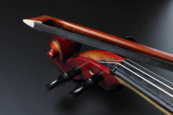 Vulture Violin Bow Dark Background Concept Musical Education Classical Music — Stock Photo, Image