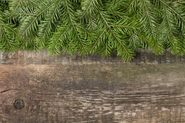 Kırsal bir zemin üzerinde Noel ağacının dalları, doğal renk, metin için yer, tasarımcı için boş.