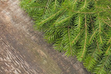 Kırsal bir arka planda noel ağacı dalları, yazı için yer, parlak sulu renkler.