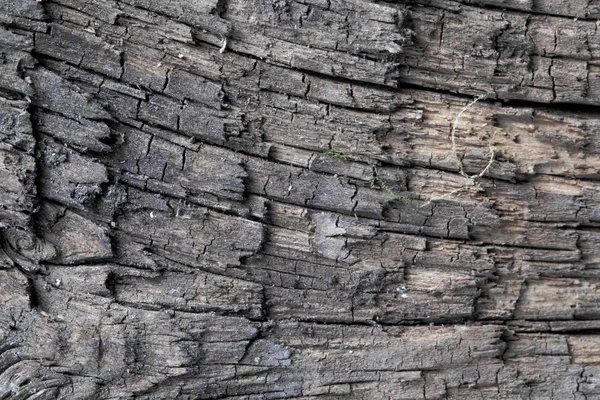 Surface Old Board Close Background Rustic Cracks Old Scuffs — Stockfoto