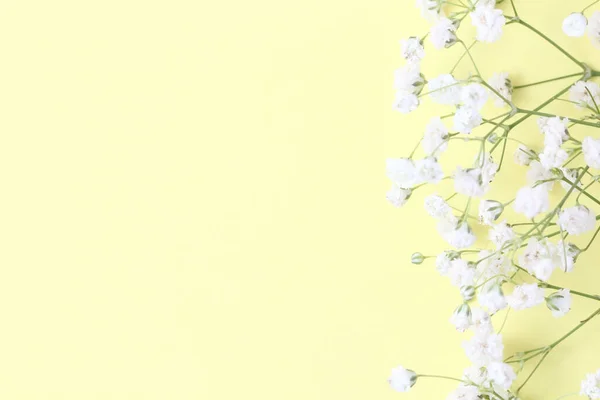 Composizione Floreale Cornice Fiori Gypsophila Fondo Giallo Pallido Pastello Layout — Foto Stock