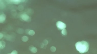 Suyun üzerinde bulanık güneş parlıyor, yeşil arka plan. Sudaki gerçek güneş lekelerinin 4K videosu. Çerçevede hızlı hareket.