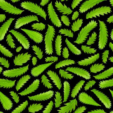Siyah arka planda, egzotik eğreltiotu yapraklarının kusursuz deseni, doğal renkler. Sebze yeşili süs..