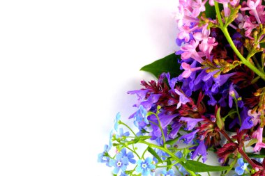 Çiçek kompozisyonu. Unutma beni çiçekleri ve diğer çiçekleri beyaz arka planda, yakın plan. Üst görünüm, düz görünüm, metin için yer, kopyalama alanı. Bahar ya da yaz konsepti.