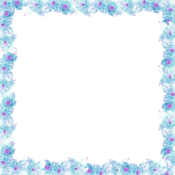 Composizione Floreale Fiori Blu Brillante Come Cornice Pulire Sfondo Bianco — Foto Stock