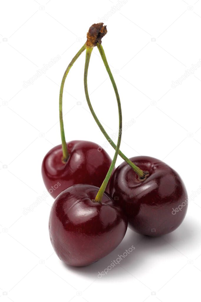 A bunch of sweet cherries from three berries with twigs on a white background, isolate, vertical frame, close-up.