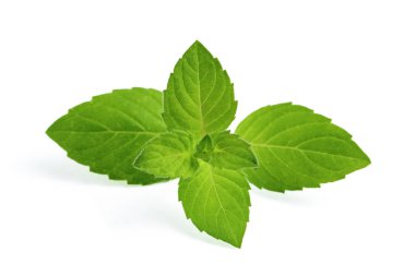 Nane yaprakları beyaz arkaplanda yakın plan çekilir, izole edilir.