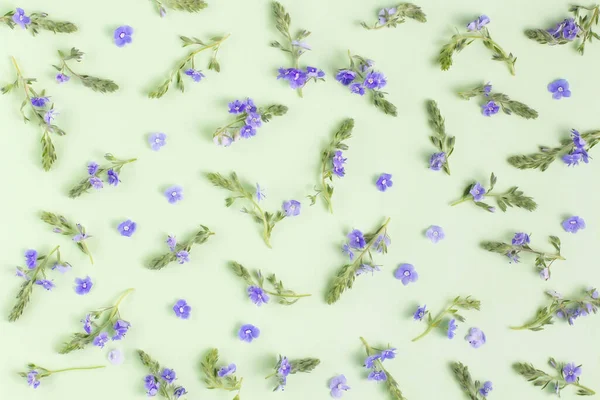 Çiçek kompozisyonu. Soluk yeşil pastel arka planda mavi çiçekler ve yeşillik dalları deseni.
