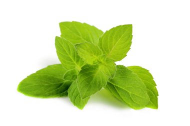 Nane yaprakları beyaz arkaplanda yakın plan çekilir, izole edilir.