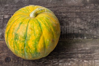 Kırsal arka planda büyük bir balkabağı, mesaj için yakın plan. Cadılar Bayramı ya da Şükran Günü süsü için boş..