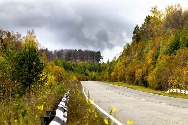 Asfalterad Väg Genom Höstskogen Suddiga Mörka Dramatiska Moln Ljusa Höstfärger — Stockfoto