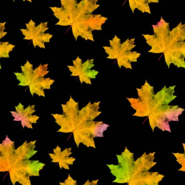 Modello Senza Cuciture Foglie Acero Colorazione Multicolore Autunno Uno Sfondo — Foto Stock