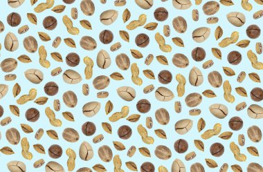 Kalıp, açık mavi pastel arka planda fındıklar. Üst manzara, düz uzanma.