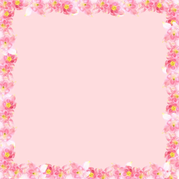 花的组成 粉红的花朵作为框架 清澈的粉红色背景 空白问候语 复制空间 顶视图 平面布局 — 图库照片