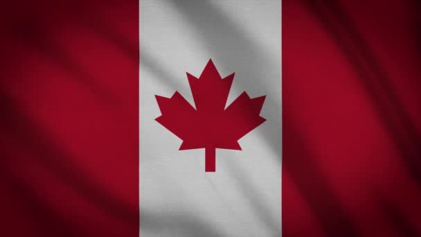 Videó Kanada Zászlójáról — Stock videók
