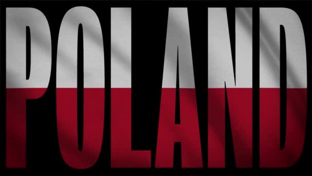 Bandeira Polônia Com Máscara Polônia — Vídeo de Stock