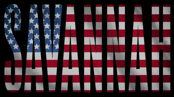 Bandiera Usa Con Maschera Savannah — Video Stock