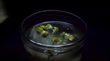 Buzun içinde donmuş papatya çiçeği yerleştirme