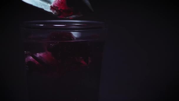 Placing Ice Hibiscus Flower Petals Mineral Water — Stock Video