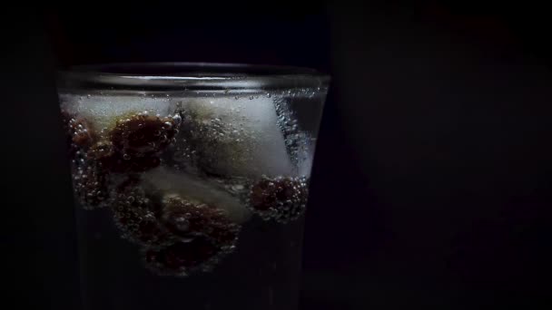 Placer Une Glace Avec Des Raisins Dans Eau Minérale — Video