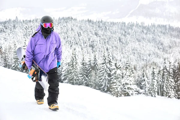 보드의 Snowboarder 최고의 언덕에 다시가 바이올렛 스노우 재킷과 검은색 — 스톡 사진