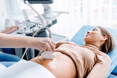 Ultrason muayenesi sırasında ultrasonik doktor eli.