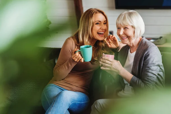 大人の娘と幸せなお母さんはソファに座って 自宅でコーヒーや紅茶とカップを保持しています 共同体の概念 — ストック写真