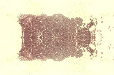 paslı boyalı ışık sarı ve kahverengi duvar yüzeyi