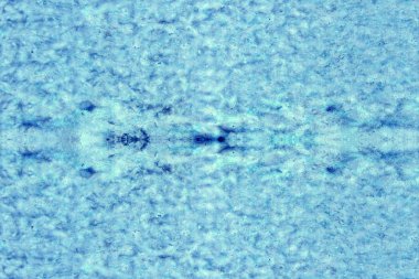 ışık mavi duvar yüzeyi, kopya alan arka plan boyalı