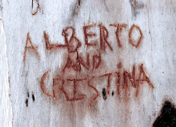 Red Text Alberto Cristina Wooden Texture — Stock Photo, Image