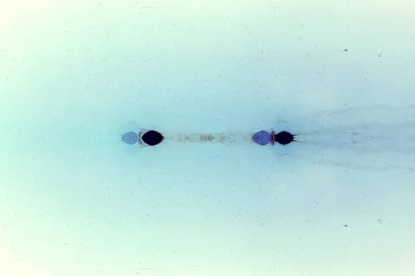 Αφηρημένο Φως Μπλε Μοτίβο Φόντου — Φωτογραφία Αρχείου