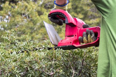 bahçede dize düzeltici ile çalışma bahçıvan resim kırpılmış