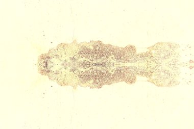 terk edilmiş hafif sarı ve kahverengi duvar yüzeyi