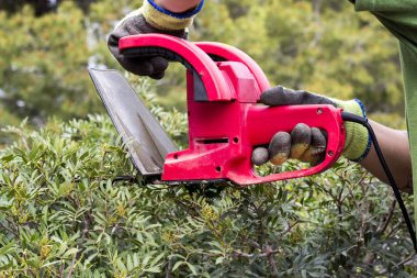 bahçede dize düzeltici ile çalışma bahçıvan resim kırpılmış