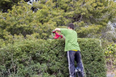 Bahçıvan adam açık havada merdiven üzerinde duran ve fırça kesici kullanarak yeşil çalı bitki ile çalışma