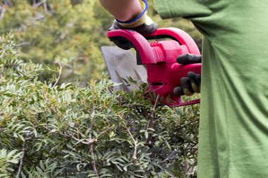 bahçede dize düzeltici ile çalışma bahçıvan resim kırpılmış