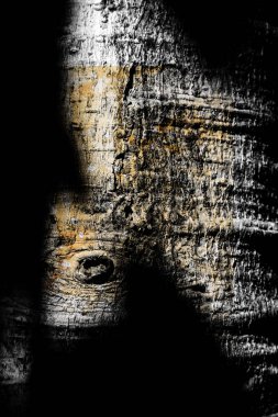 ahşap yüzey arka plan, ağaç kabuğu gölge 