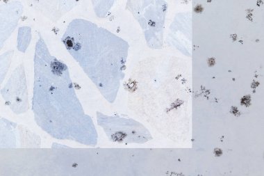 hafif mavi çimento duvar, sarhoş duvar arka plan