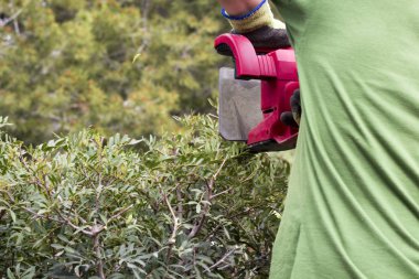 bahçede dize düzeltici ile çalışma bahçıvan resim kırpılmış