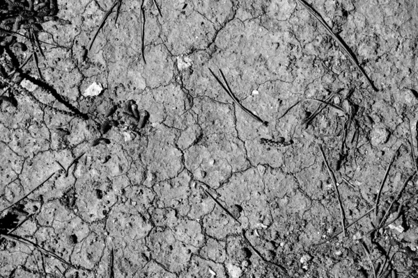 Темно Серая Поверхность Сухой Пол — стоковое фото